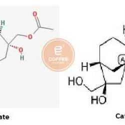 Phát hiện hợp chất trong cà phê ức chế “ung thư đàn ông” Chất Kahweol acetate và Cafestol