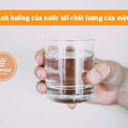 Ảnh hưởng của nước tới chất lượng của một ly cà phê