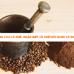 HẠN SỬ DỤNG CỦA CÀ PHÊ, NHẬN BIẾT CÀ PHÊ MỚI RANG VÀ RANG LÂU RỒI